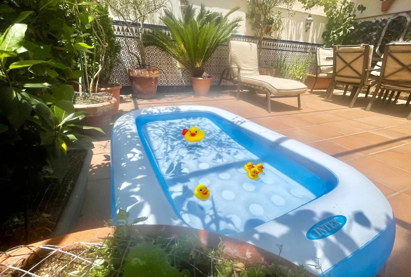 Maravilloso Apartamento Centrico De 70M2, Jardin Propio 40M2 Con Piscina Para Ninos Y Parking Opcional Malaga