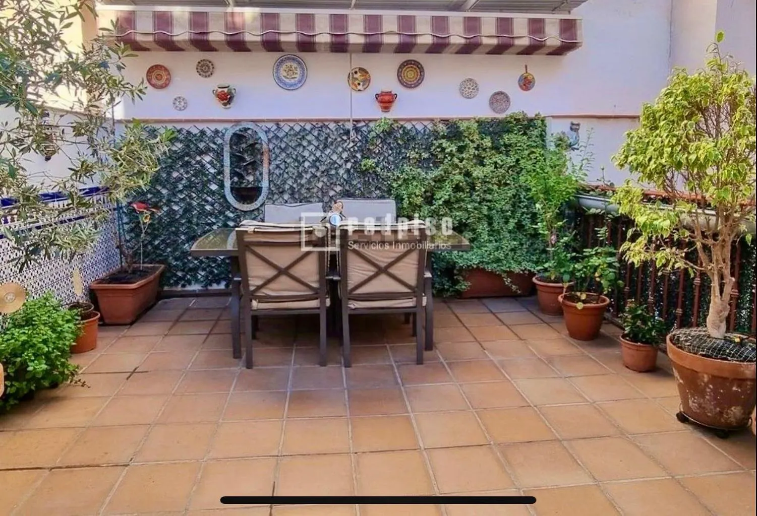 Maravilloso Apartamento Centrico De 70M2, Jardin Propio 40M2 Con Piscina Para Ninos Y Parking Opcional Malaga Spain